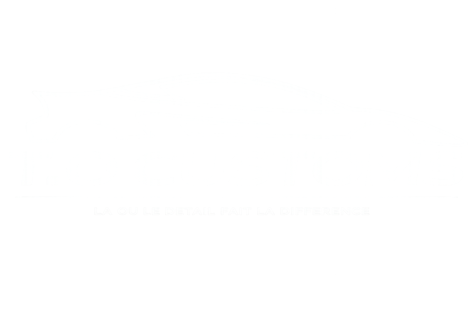 T.O CUSTOMS_logo
